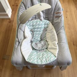 Ingenuity Baby Bouncer