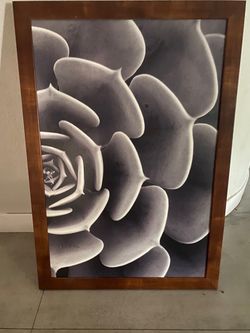 Framed Succulent Close-Up Wall Art Print