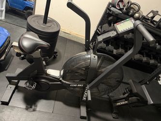 Rogue echo bike