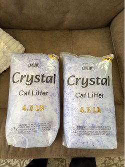 Cat Litter
