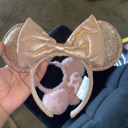 Disney Park Ears Collectible