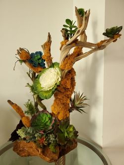 Artificial Succulent Arrangement - Drift Wood- Natural Wood Vase
