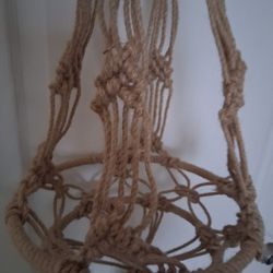 Solid Hanging Plant