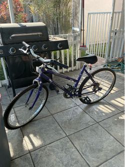 Schwinn mountain bike