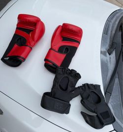 Boxing Gloves and MMA Gloves Set