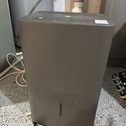 Dehumidifier With Pump