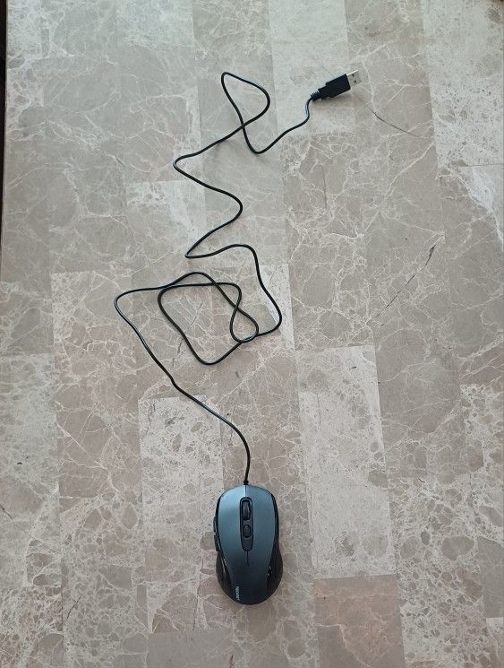 Mouse