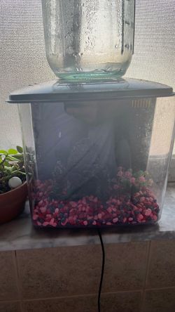 Small Aquarium