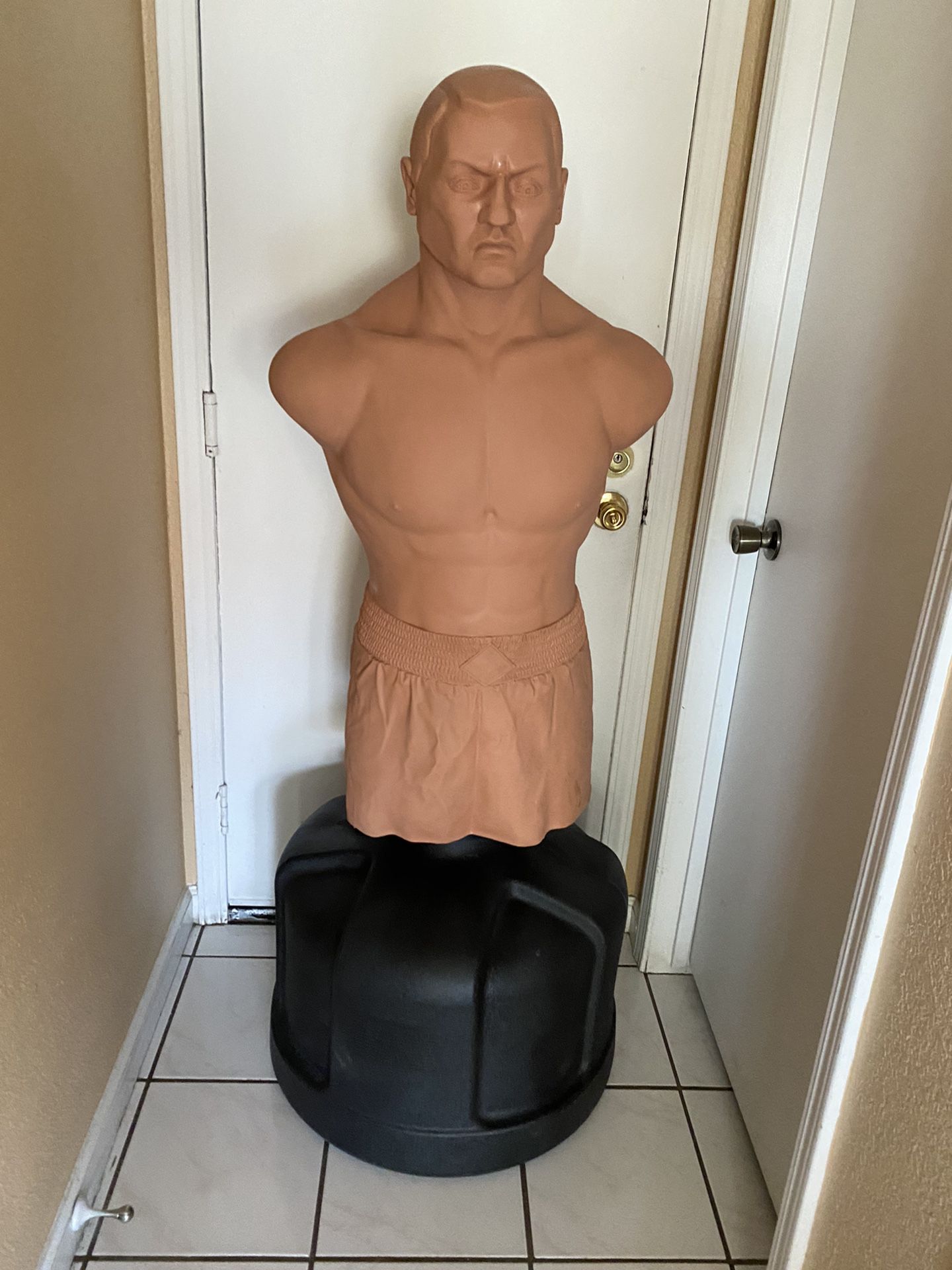 CENTURY BOB BADY PUNCHING BAG FILLED WITH WATER OR SAND MMA XXL PUNCHING BAG 6 FEET TALL 