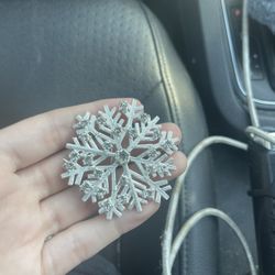 Silver Snoflake And Diamond Pin 