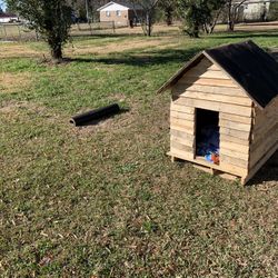 Dog House 