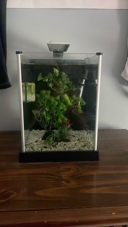 Fish Tank (plus everything inside of it)
