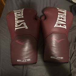 Everlasting Boxing Gloves 16oz