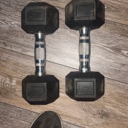 15 Lb Dumbbells 