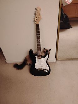 ELECTRIC GUITAR