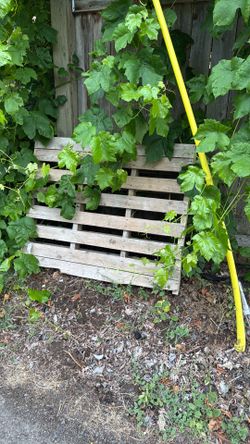 Free pallet