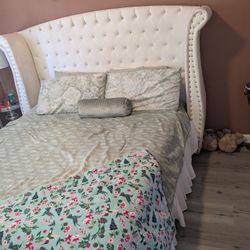 Free Bed Frame 
