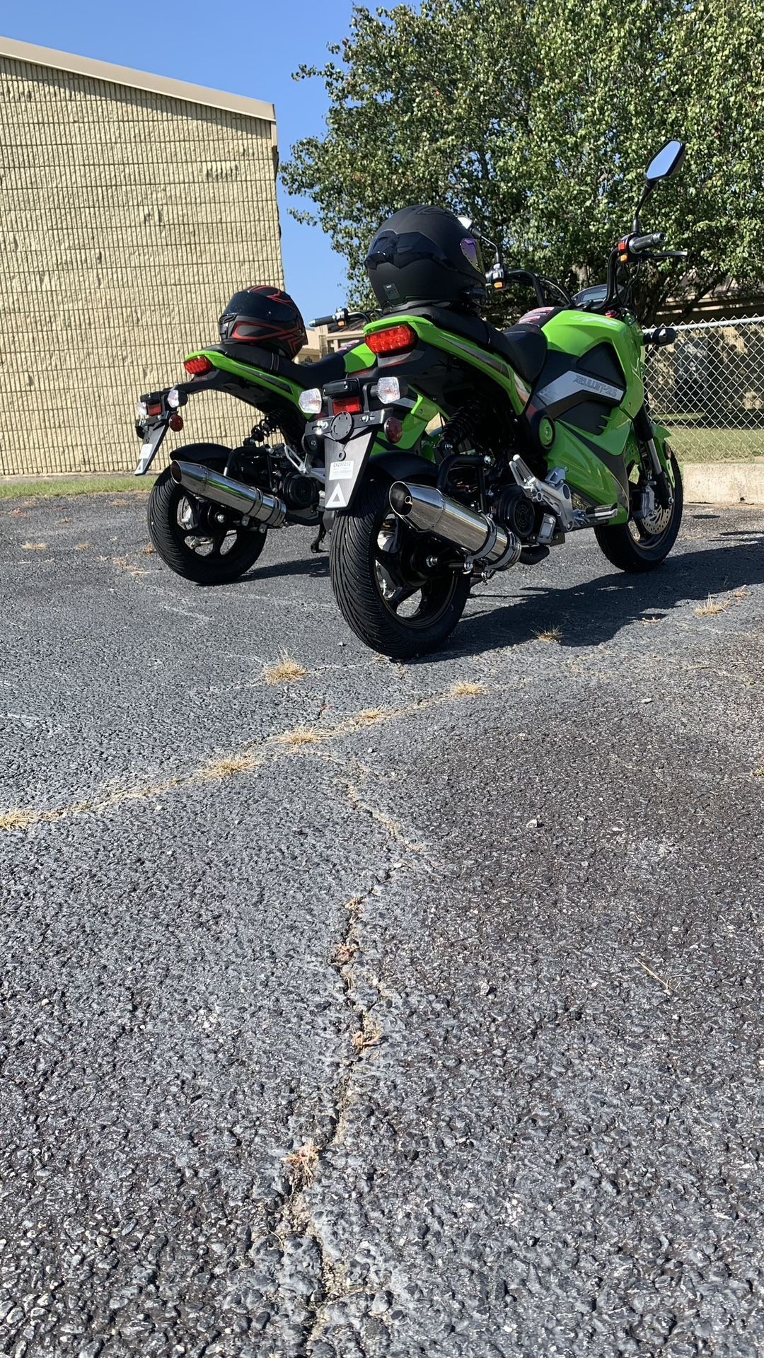 Honda Grom Clones
