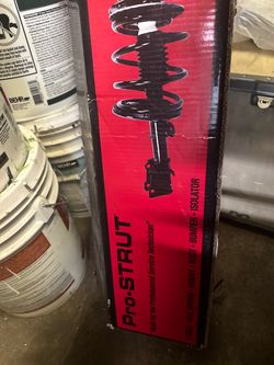 Pro strut