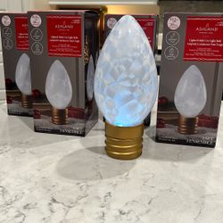 Indoor/ Outdoor Christmas Bulb 