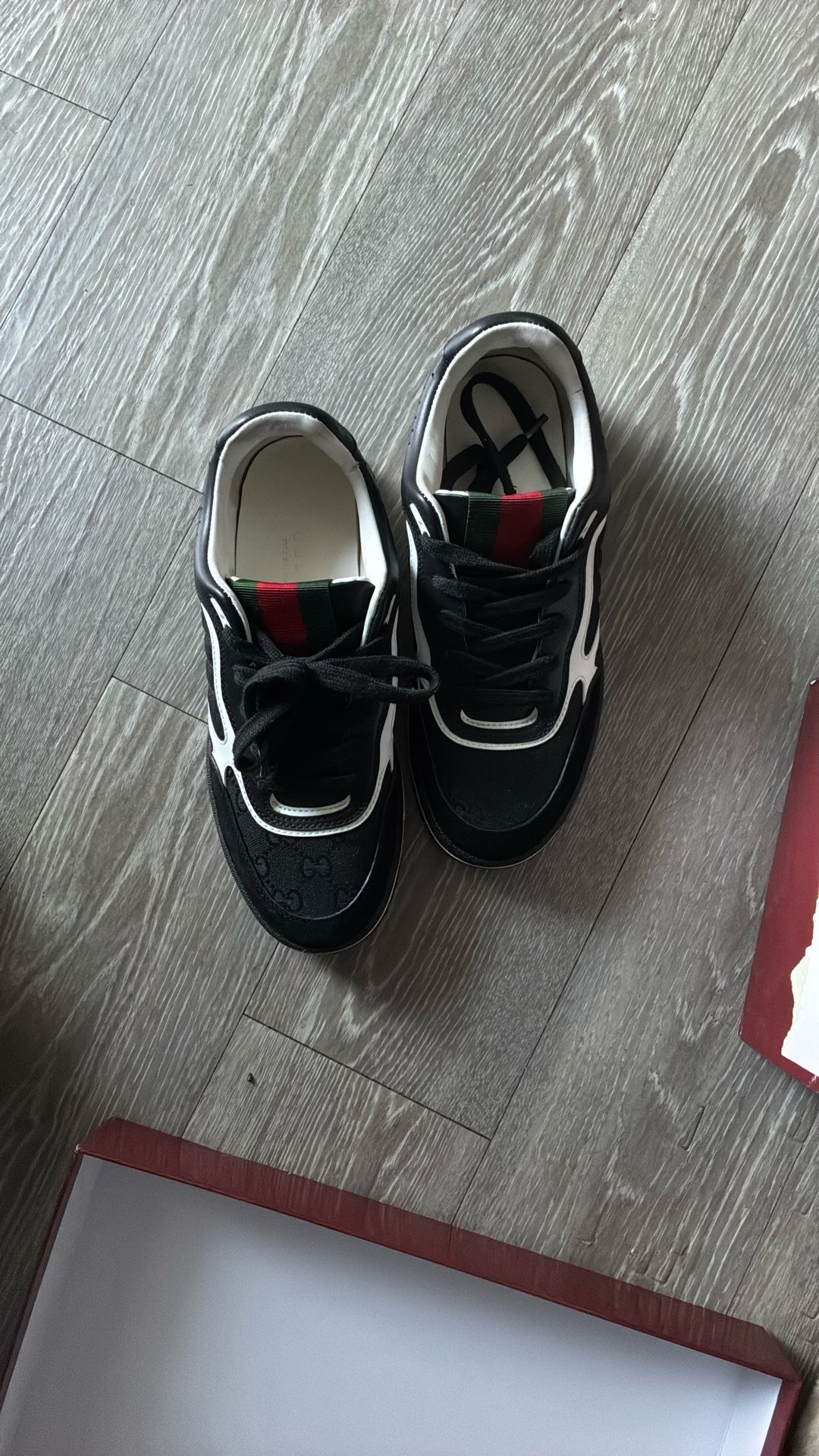 Gucci Web Sneaker