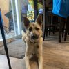 Maggie