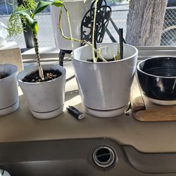 Heavy Quality White Ceramic Flower Pots (Plants  NOT Included) ONE 2 Toned Ceramic  Flower Bowl