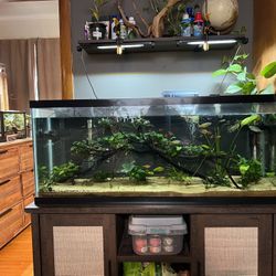 55 Gallon Aquarium With 2 Lids 