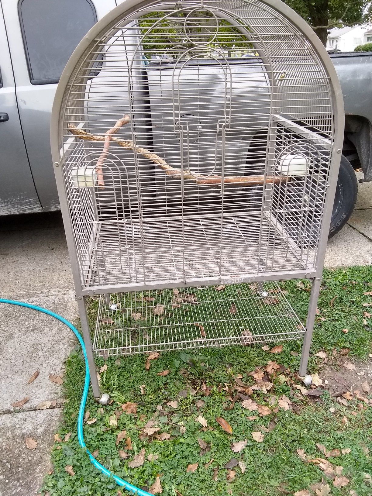 Large bits or iguana cage