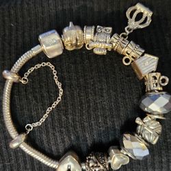 Pandora N Charms