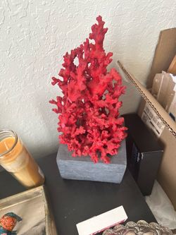 Red authentic coraL on a stand