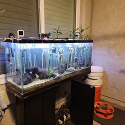 Fish Tank (55gal)
