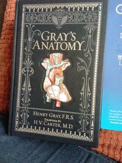 Gray's Anatomy And Genograms