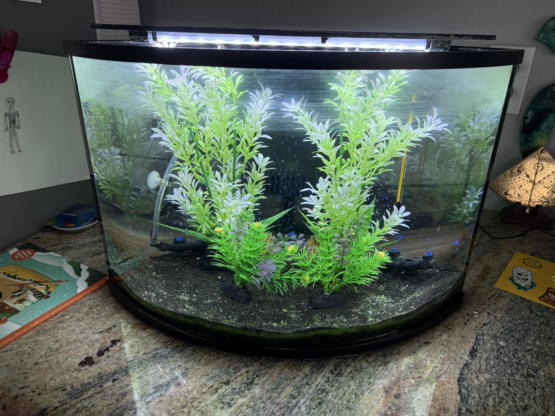 Corner Style Fish Tank