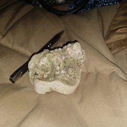 Giant Molar Tooth