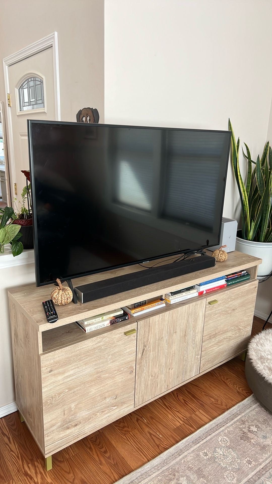Samsung smart TV
