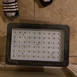 Plant Light