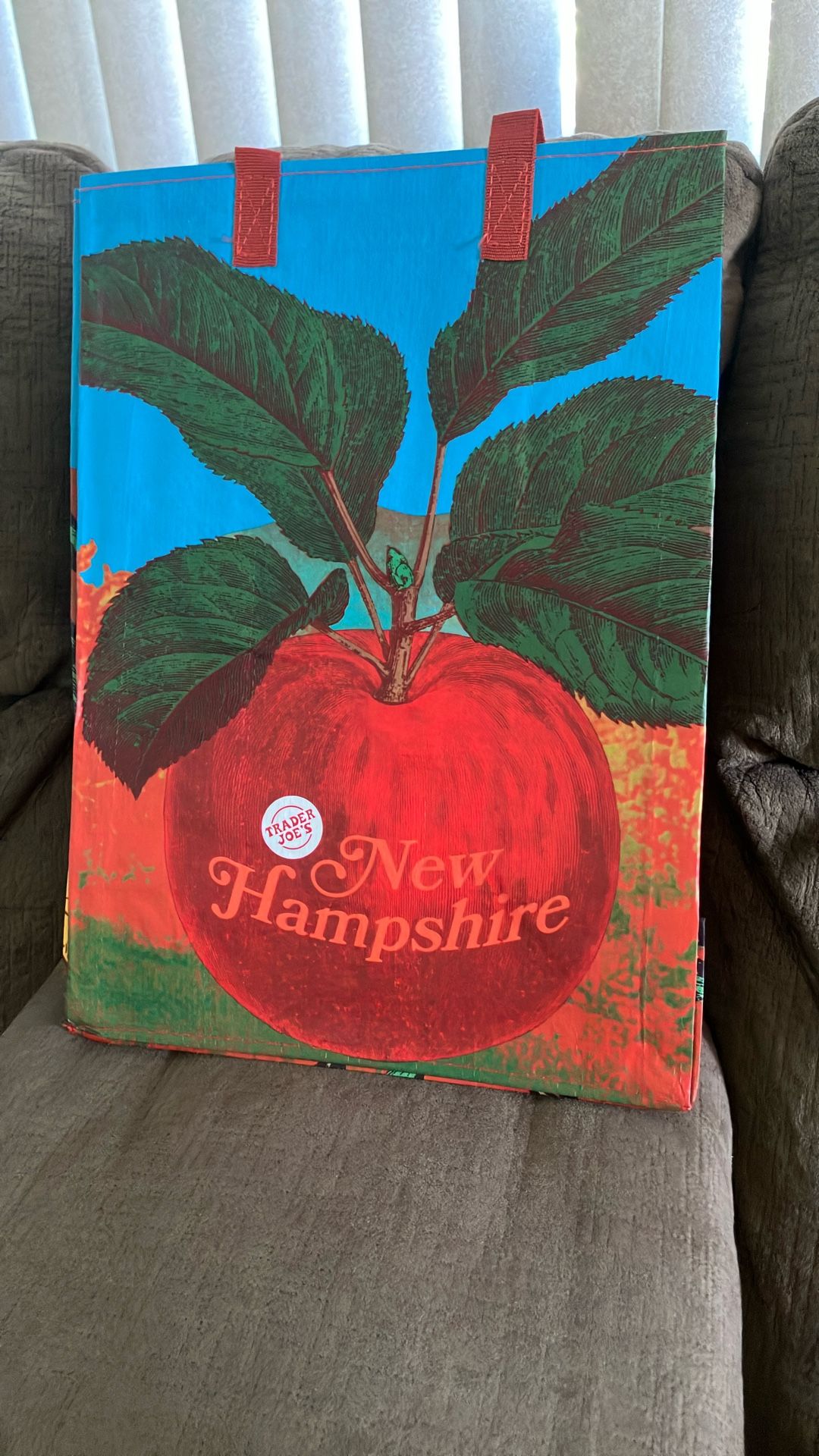 New Hampshire Trader Joes Mystery Bag