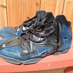 Nike Air LeBron James 