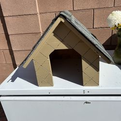 Dog House 