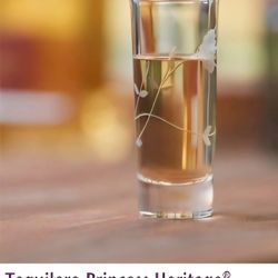 Set of 4 tequileros princes house