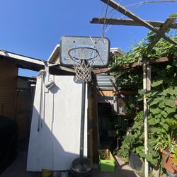 Basketball Hoop Custome Made