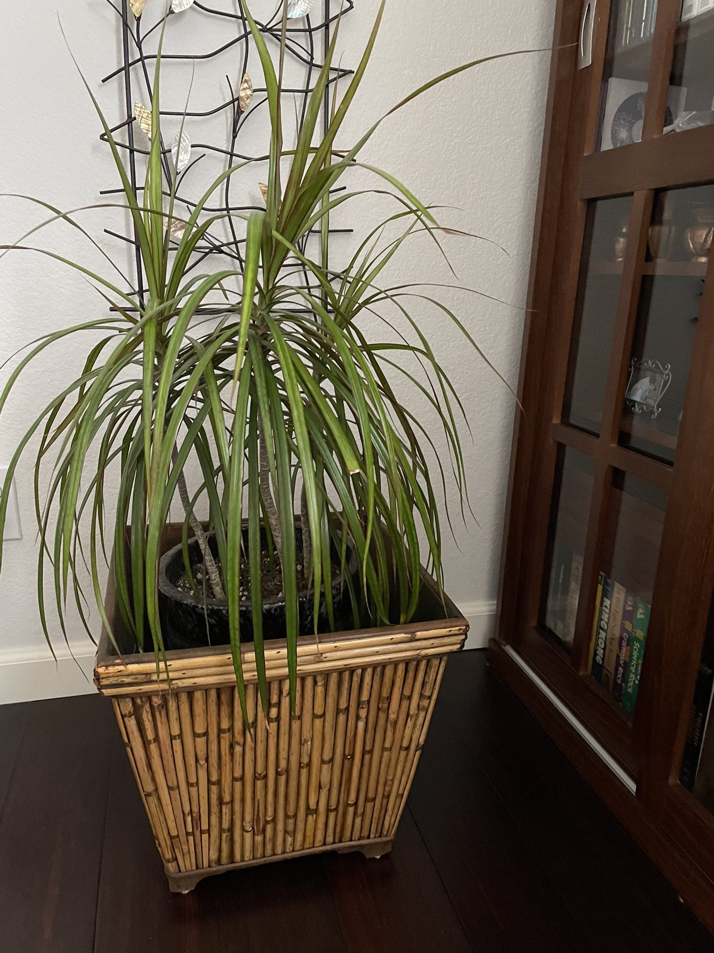 Bamboo Basket/Planter 