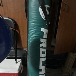 Prolast Heavy Bag 