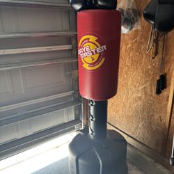 Adjustable Punching Bag 