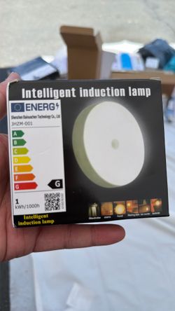 Banuche LED Intelligent Induction Night