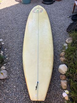 Twin Fin Glider Surfboard