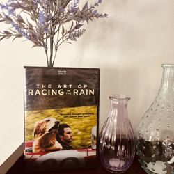 NEW The Art Of Racing In The Rain DVD