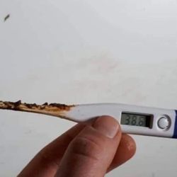 Thermometer