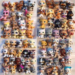 Littlest Pet Shop Shorthair cat , beagle, Cocker spaniel, kitten 2004 pets great condition